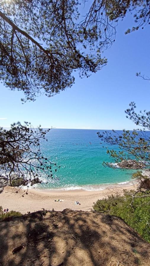 Daro Apartments Platja d'Aro Eksteriør billede