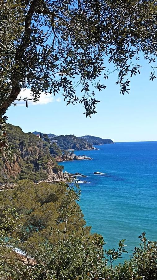 Daro Apartments Platja d'Aro Eksteriør billede
